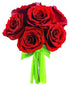KaBloom - 6 Red Roses without vase, Fresh Flowers for Birthday, Valentine's