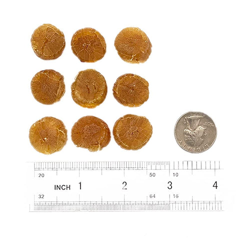 8oz 1 packages Sweet Post Scallop Dried Japanese Scallops Nippon no hoshi moto kai SAS // box Order by mail from USA