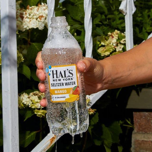 Hal's New York 20 Oz (Pack 24) Seltzer Water, Mango Sparkling Water, Fl Bottles