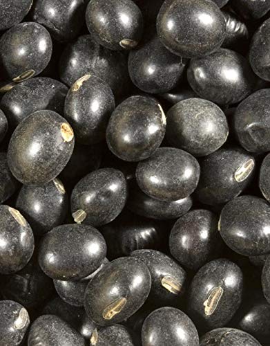 Shiloh Farms 15 oz Organic Black Soybeans