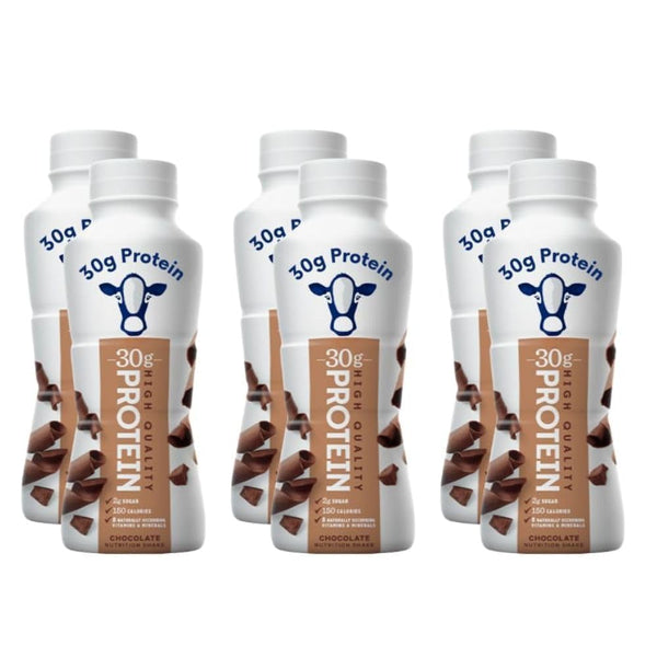 Generic Nutrition Plan - High Protein Milk Chocolate Shake - 30g Protein (6