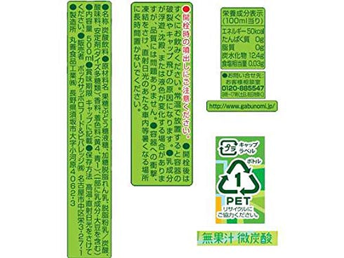 Pokka 500ml (6) GABUNOMI Melon Cream Soda PET bottle