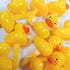 Oasis Supply Duck Picks, 12-Pack (12 Count Duck Pick)