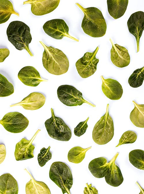 1 lb, Unpretentious Spinach Flakes, Dried Spinach, Add to Breads, Seasoning & Soups
