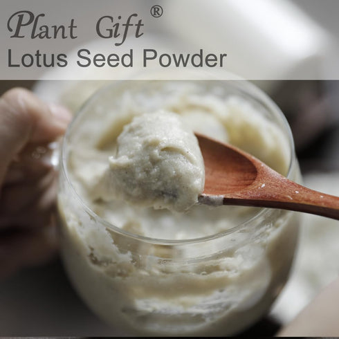 Plant Gift 100% 100G/3.25oz Pure Lotus Seed Powder Lotus Seed Flour, for Drinks, Adds Flavor and Taste Non-GMO Powder