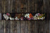 16oz. (3 Pack) 30 Foster's Pickled Asparagus Jalapeno, - Pickled Asparagus Spicy - Traditional Pickled Vegetables
