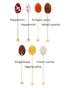 TULLIPAK 7 Pack Winter Holiday Candy Spoons | | Edible Stirring Spoons for Hot Beverages & Desserts | Fun & Flavorful