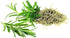 Generic 100grams PB Rosemary Dried Leaf | Rosemary for Foods & Hair