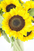 10 KaBloom - Sunflower Bouquet: Bright Yellow Sunflowers with Vase - Fresh Flowers for Birthday, Valentine's & Mother's