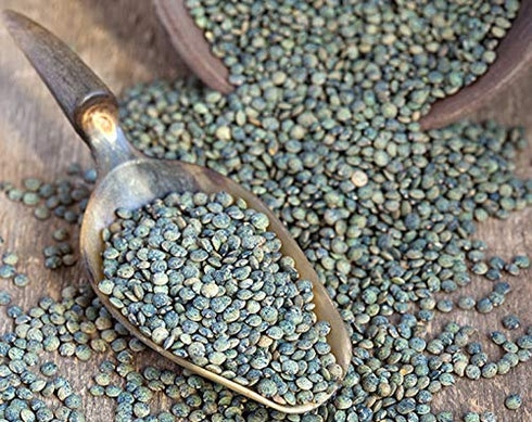 1 Food to Live Organic French Green Lentils, Pound Non-GMO, Whole Dry Beans, Raw, Sproutable, Vegan, Kosher, Bulk. Rich