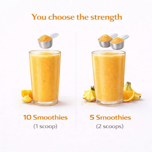 10 Tropical Smoothie Powder & Smoothie Mix Freeze Dried Tropical Fruit Blend, No Added Sugar, Vegan, Ready in Seconds