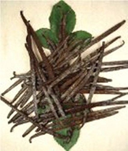 Rimming 80 OliveNation Applewood Smoked Salt, Seasoned Gourmet Salt Seasoning for Snacks, Cooking, Baking, Gluten Free