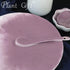 Plant Gift 100g/3.52oz 100% Purple Kale Powder Natural Pure Natural Food Coloring, Great for Baking