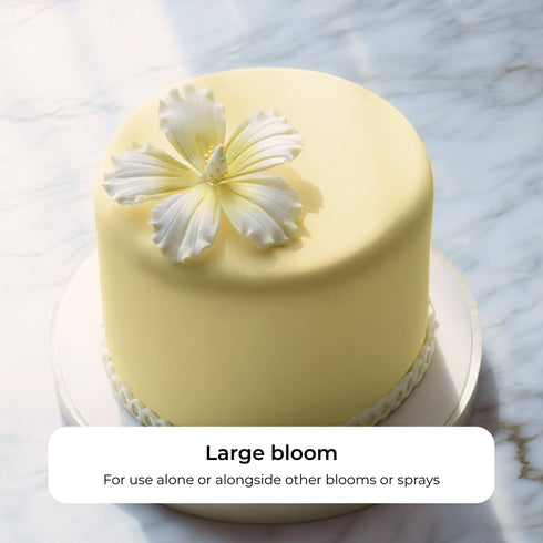 9 Count Global Sugar Art Hibiscus Sugar Cake Flowers, White with Yellow Hawaiian Cake Flower Large, by Chef Alan