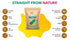 GREEN NECTAR 16 (16 Oz 1 Pack) Pineapple Fruit Juice Powder, Vegan, Gluten Free, Ounce, Concentrate for Drink Mix