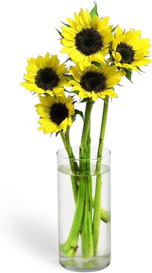 5 KaBloom Flowers - Bluehill Collection - Sunflower - Gift for Birthday, Sympathy, Anniversary, Get Well, Thank You