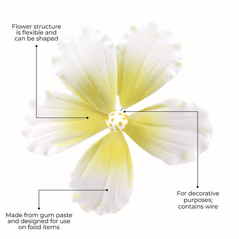 9 Count Global Sugar Art Hibiscus Sugar Cake Flowers, White with Yellow Hawaiian Cake Flower Large, by Chef Alan