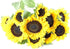 KaBloom Flowers - Sunflower Bouquet: 10 Bright Yellow Sunflowers Gift for Sympathy,
