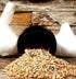 Grande Everything Bagel Seasoning by Garlic Festival Foods