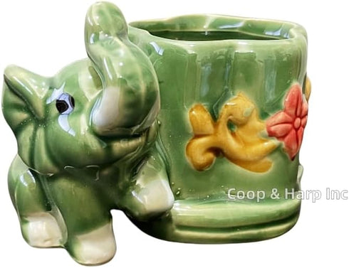 Generic Coop & Harp Small Lucky Bamboo Live Indoor Plant with Ceramic Vase, Live Indoor Lucky Bamboo for Home, Office