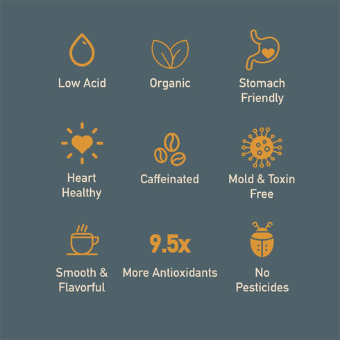 11oz Healthy Bean Organic Ground Coffee Thrive Morning Blend - Low Acid Coffee Grounds for Sensitive Stomach - Medium