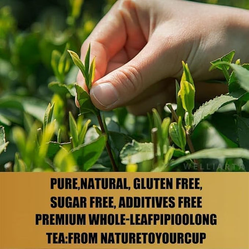 (20 4g PipiTea Organic Oolong Tea Bags - Whole Leaf, bags) Selected Tea Leaves - Helps lower cortisol levels, relieve