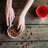 12oz (Pack 3) BEER NUTS Original Peanuts - Travel Size Sweet & Salty Bar Nuts - Gluten Free, Kosher, Low Sodium Peanut