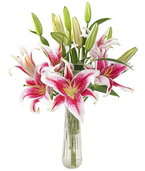 KaBloom - Tranquil Sympathy Breeze Bouquet of 5 Pink stargazer lily With