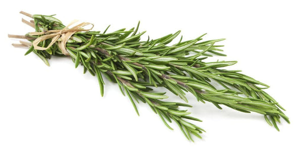 Generic Oganic Rosemary, Locally Grown US, 2 Bunches