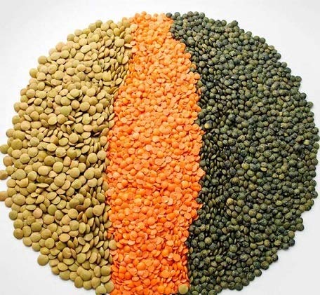 Bulk-7LB Organic Red Split Lentils aka Masoor Dal low calories rich in Iron and Protein Raw non-GMO Vegan