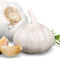 Generic Elephant Garlic, 2 Huge Bulbs! Great for Planting, Eating or Cooking! Non