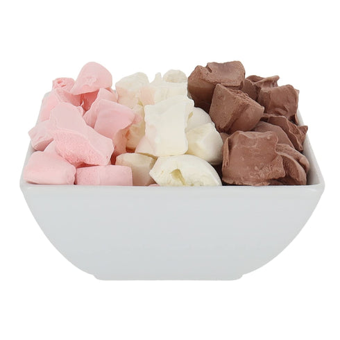 2.5oz) Arctic Farms Freeze Dried Ice Cream Bits Bagged and Boxed - Does Not Melt (Neapolitan Mix