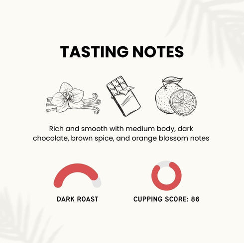 Canopy Point Coffee Honduras Dark Roast | Coarse Ground Coffee for Cold Brew, French Press & Percolator | Arabica