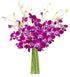 Blooms2Door - The Ultimate Purple Orchid - Fresh Flowers for Birthday, Valentine's