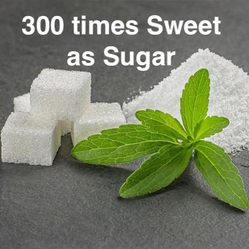 (4 Natural Herbal Live Zero Calorie Sugar Replacement. Stevia Plants. Sweet Leaf, Sugar Leaf, Natural Sugar Substitute