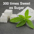 (4 Natural Herbal Live Zero Calorie Sugar Replacement. Stevia Plants. Sweet Leaf, Sugar Leaf, Natural Sugar Substitute