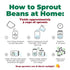 Del Colle 11 LBS (5 (Pack 1) Piemonte Cranberry Beans, kg) Fagioli Italiani Borlotti. Good Source of Fiber
