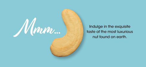 Marvelous 1LB Roasted Salted Cashews Bag Cashews
