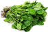 Nature Tea 100% (4 oz) Watercress Herb - Dried Nasturtium officinale C/S from Nature