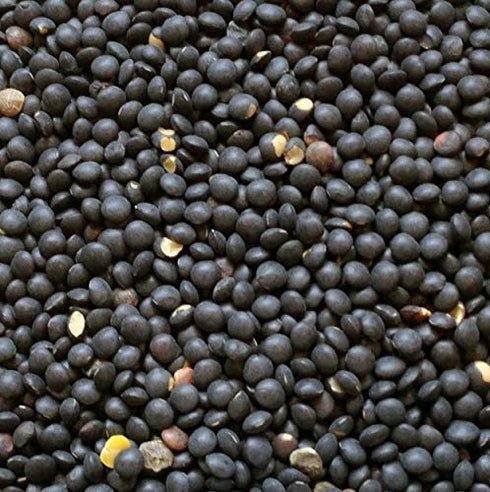 Hunza (2-lbs) Organic Black Beluga Lentils