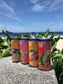11.2oz (330ml) 12 Pack Blue Monkey Sparkling Mango Juice - Real Fruit Juice, No Sugar Added, All Natural, Lightly