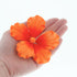 Global Sugar Art Hibiscus Sugar Cake Flowers, Orange with Deep Orange, Hawaiian