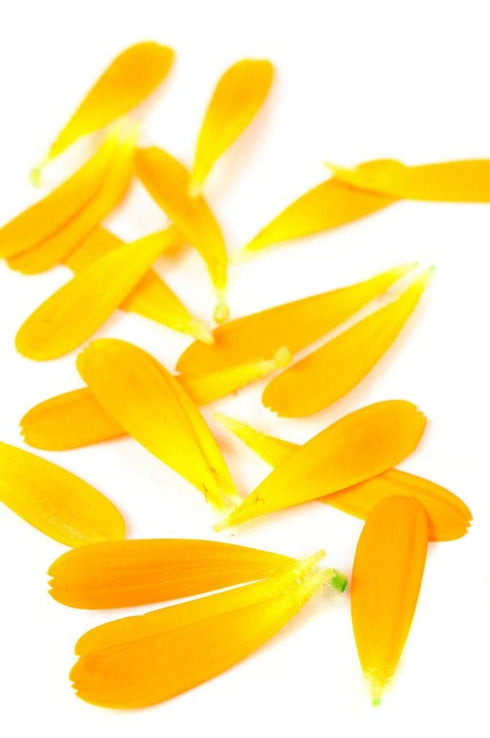 Calendula Petals – Pure Dried Marigold Flower Petals – Vegan, Gluten Free, Non-GMO, No Sugar Added - 0.35oz / 10g