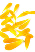 Calendula Petals – Pure Dried Marigold Flower Petals – Vegan, Gluten Free, Non-GMO, No Sugar Added - 0.35oz / 10g