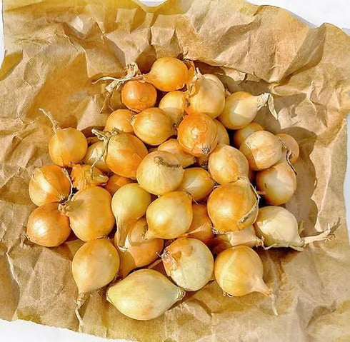 Kejora Fresh Boiler Onions/Boiling Onions 3 LB (Yellow, Onion)