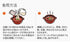 HAidilao 200g Hot Pot Soup -- Tomato