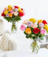 10 From You Flowers - Stunning Gerbera Daisies - Stems with Glass Vase | Fresh Flower Bouquets for Birthday