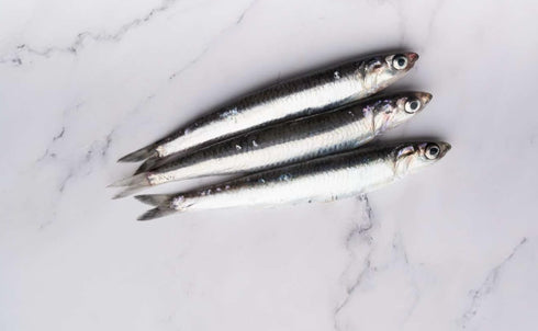 Mr.Moris 3 120g 4.23 Oz package Mr. Moris | Anchovy Fillets from Cantabrian Sea in Olive Oil | Handmade Anchovies