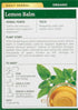 Traditional Medicinals Organic Lemon Balm Herbal Tea, Calming and Supports Digestion, 16 Tea Bags (Pack of 1)
