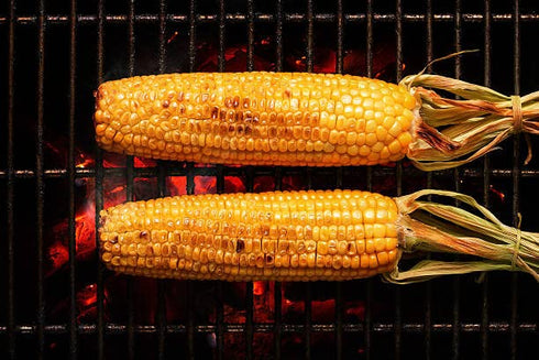 Premium Corn on the Cob Seasonings Variety 2 Pack, Smoked Parmesan and BBQ, Calorie Free, Large Shakers